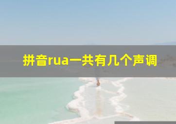 拼音rua一共有几个声调