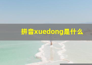 拼音xuedong是什么