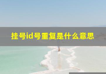 挂号id号重复是什么意思