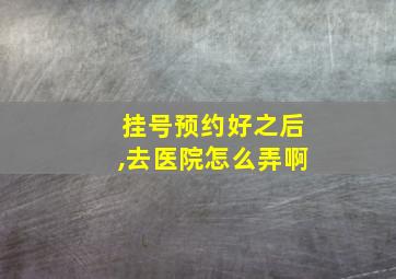 挂号预约好之后,去医院怎么弄啊