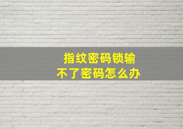 指纹密码锁输不了密码怎么办