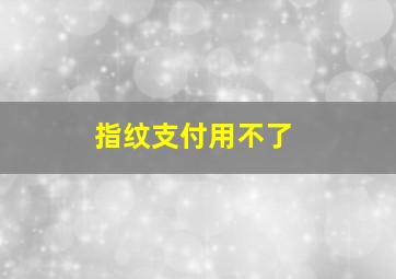 指纹支付用不了