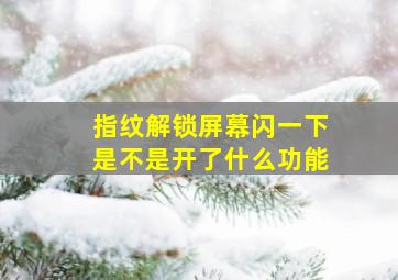 指纹解锁屏幕闪一下是不是开了什么功能