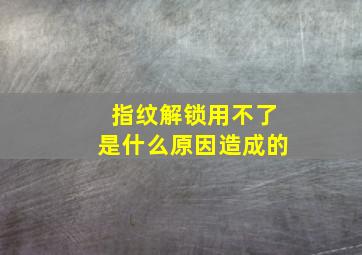 指纹解锁用不了是什么原因造成的