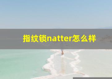 指纹锁natter怎么样