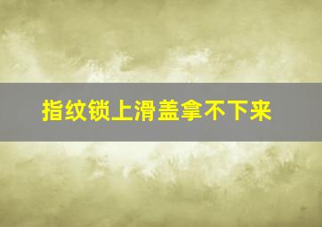 指纹锁上滑盖拿不下来