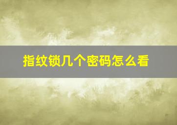 指纹锁几个密码怎么看