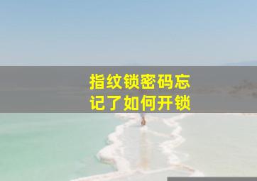 指纹锁密码忘记了如何开锁