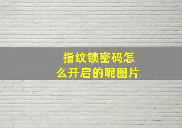 指纹锁密码怎么开启的呢图片