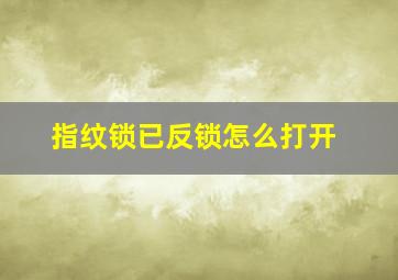 指纹锁已反锁怎么打开