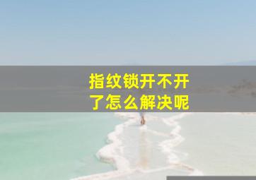 指纹锁开不开了怎么解决呢