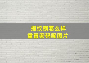 指纹锁怎么样重置密码呢图片