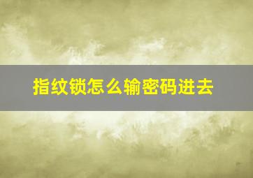 指纹锁怎么输密码进去