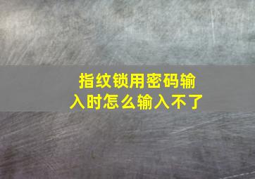 指纹锁用密码输入时怎么输入不了