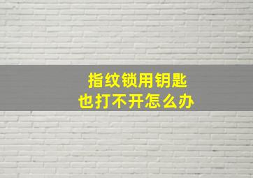 指纹锁用钥匙也打不开怎么办