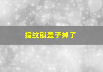 指纹锁盖子掉了