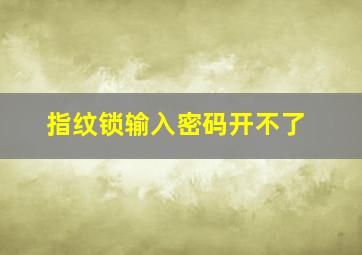 指纹锁输入密码开不了