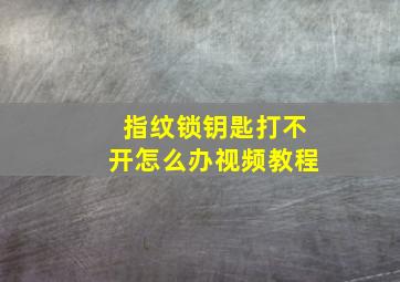 指纹锁钥匙打不开怎么办视频教程