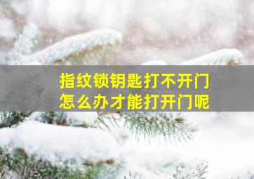 指纹锁钥匙打不开门怎么办才能打开门呢