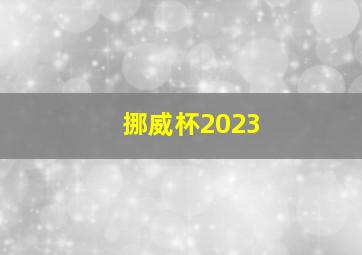 挪威杯2023