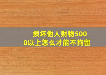 损坏他人财物5000以上怎么才能不拘留