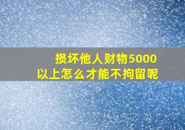 损坏他人财物5000以上怎么才能不拘留呢