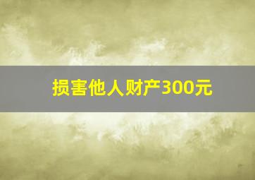 损害他人财产300元