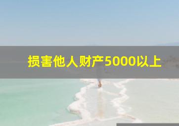 损害他人财产5000以上