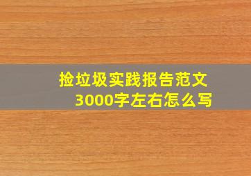 捡垃圾实践报告范文3000字左右怎么写