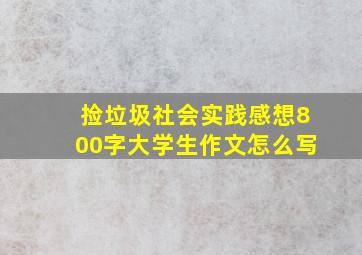 捡垃圾社会实践感想800字大学生作文怎么写