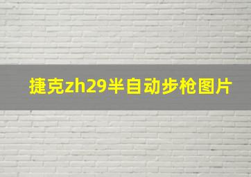 捷克zh29半自动步枪图片