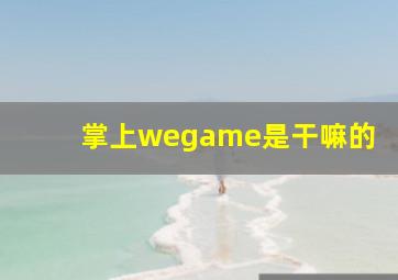 掌上wegame是干嘛的