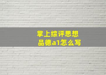 掌上综评思想品德a1怎么写