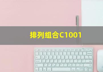 排列组合C1001