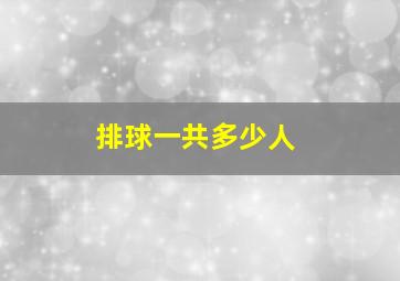 排球一共多少人