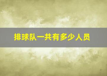 排球队一共有多少人员