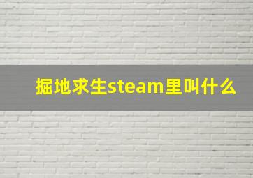 掘地求生steam里叫什么