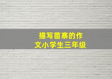 描写苗寨的作文小学生三年级