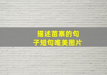 描述苗寨的句子短句唯美图片