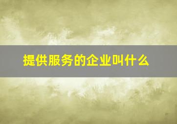 提供服务的企业叫什么