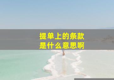 提单上的条款是什么意思啊