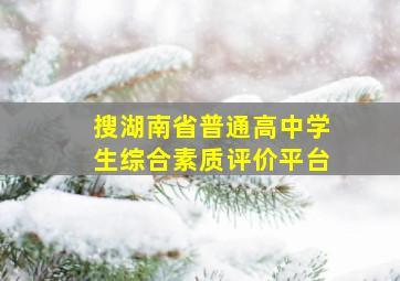 搜湖南省普通高中学生综合素质评价平台