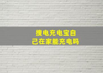 搜电充电宝自己在家能充电吗