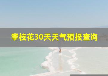 攀枝花30天天气预报查询