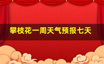 攀枝花一周天气预报七天