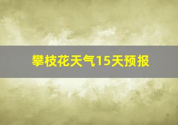 攀枝花天气15天预报