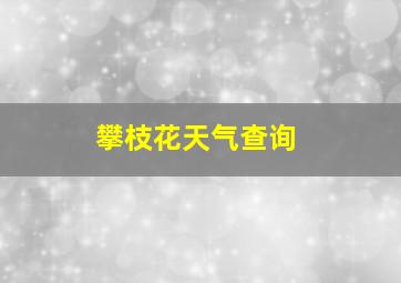 攀枝花天气查询