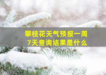 攀枝花天气预报一周7天查询结果是什么