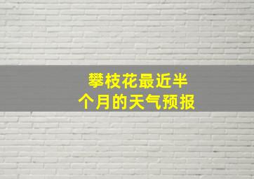 攀枝花最近半个月的天气预报