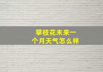 攀枝花未来一个月天气怎么样